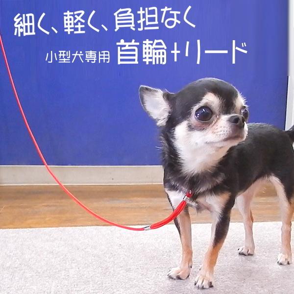 犬 小型犬 チワワ プチインリード 一体型 首輪 リード ペット おしゃれ 子犬 練習 しつけ ショーリード /【Buyee】 Buyee -  Japanese Proxy Service | Buy from Japan!