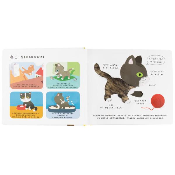 さわれるまなべる みぢかなどうぶつ 絵本 しかけ絵本 幼児 0歳 1