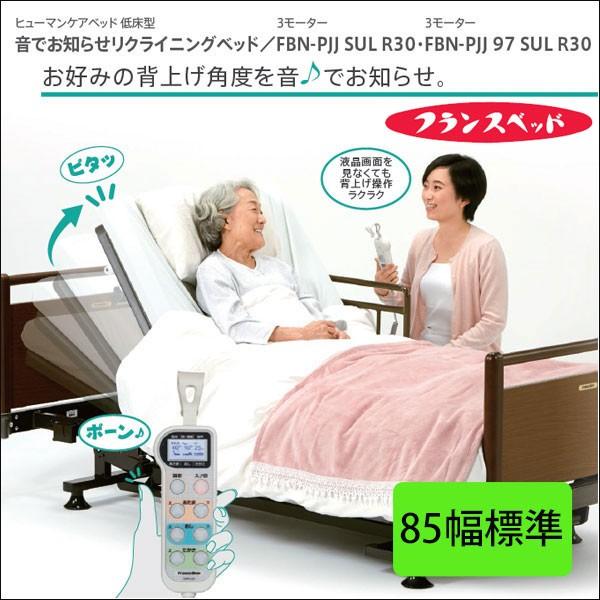 フランスベッド ヒューマンケアベッド 介護ベッドFBN-PJJ 3モーター