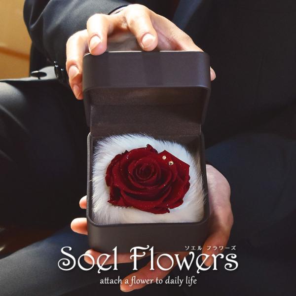 プロポーズ バラ 薔薇 1本 プレゼント サプライズ プリザーブド  