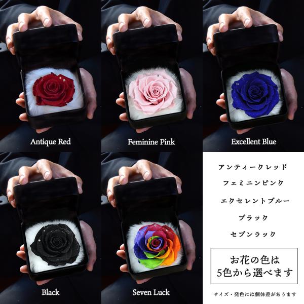 プロポーズ バラ 薔薇 1本 プレゼント サプライズ プリザーブド  