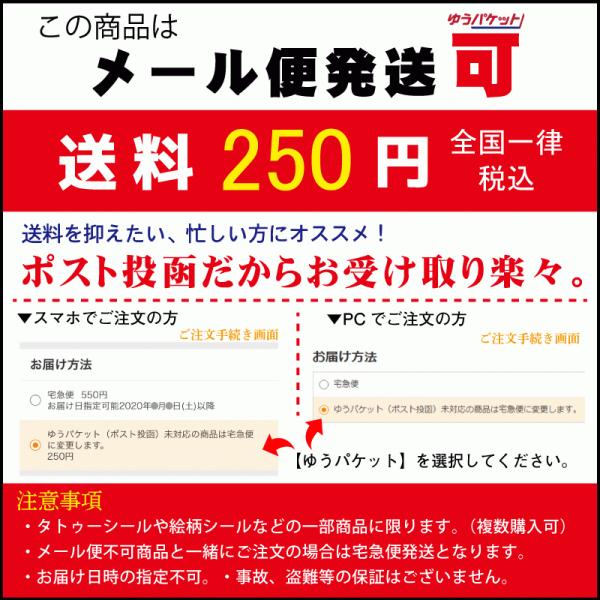 タトゥーシール 阿弥陀如来・千手観世音菩薩 - その他