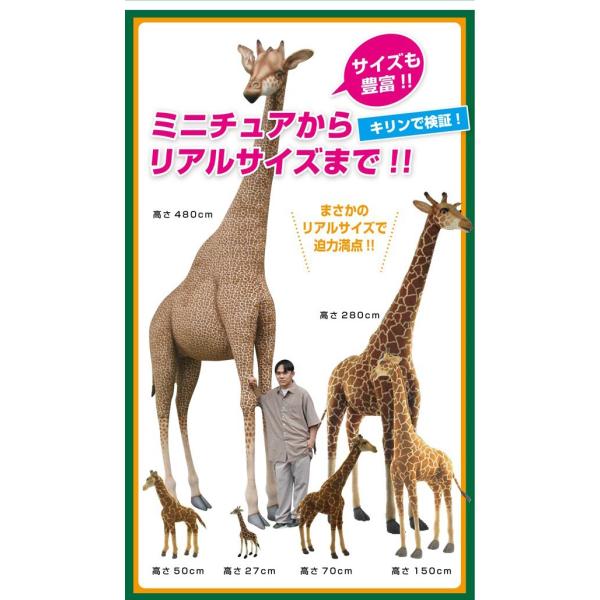 HANSA ハンサ ぬいぐるみ 6364 ホワイトライオン らいおん 白 ライオン