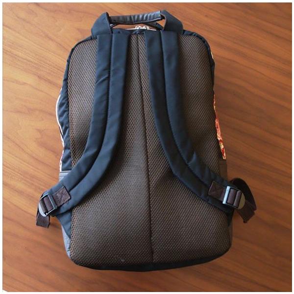 欲しいの 新品登場 2点（大、小 にゃんこ大好き様専用刺繍柄生地リュック リュック・バックパック