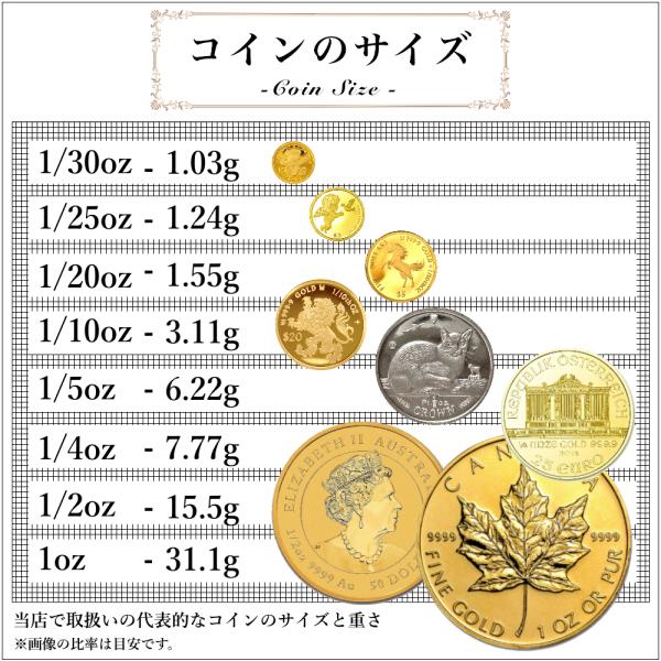 純銀インゴット スイスヴァルカンビ シルバーバー 10g valcambi