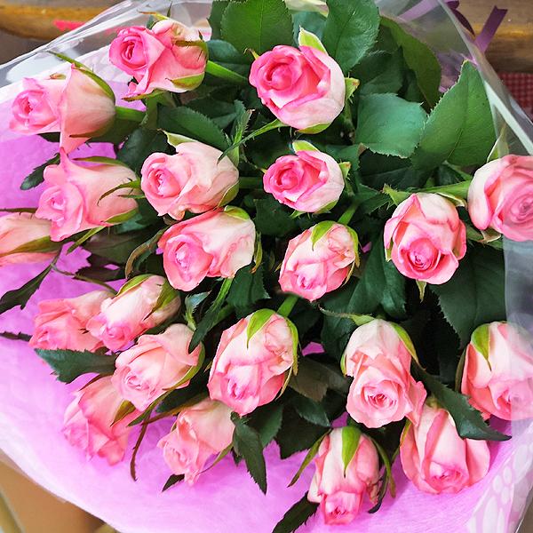薔薇 Miss Point 木香薔薇 2.0 花柄 ロング ロリィタドレス JSK