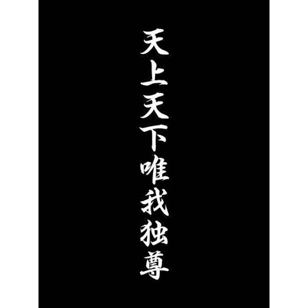 漢字 ステッカー 天上天下唯我独尊 （縦30cm×横3.5cm） /【Buyee】 Buyee - Japanese Proxy Service |  Buy from Japan!