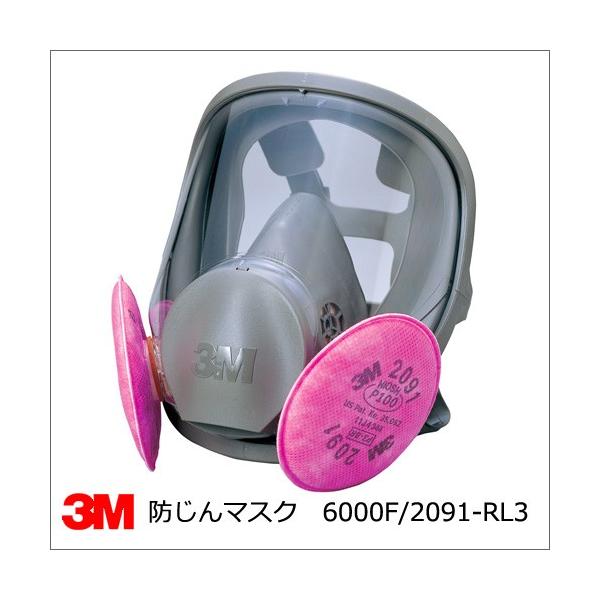 アスベストLV1 全面マスク2個セット アスベスト 全面マスク