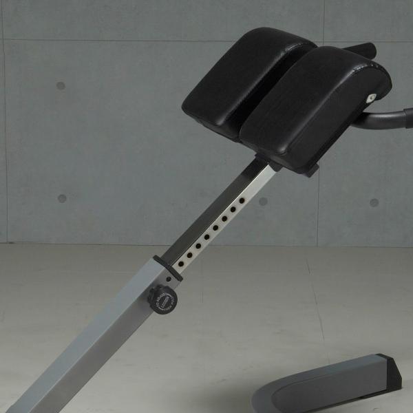 IROTEC（アイロテック）バックエクスHPM/ 背筋 背筋強化