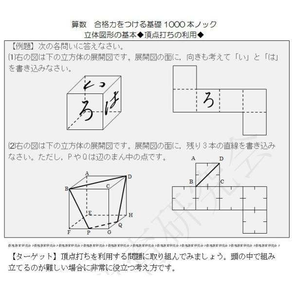 数理教育研究会 算数プリント 合格力をつける基礎１０００本ノックとテストのセット 数理教育研究会 算数プリント 合格力をつける基礎1000本ノックとテスト