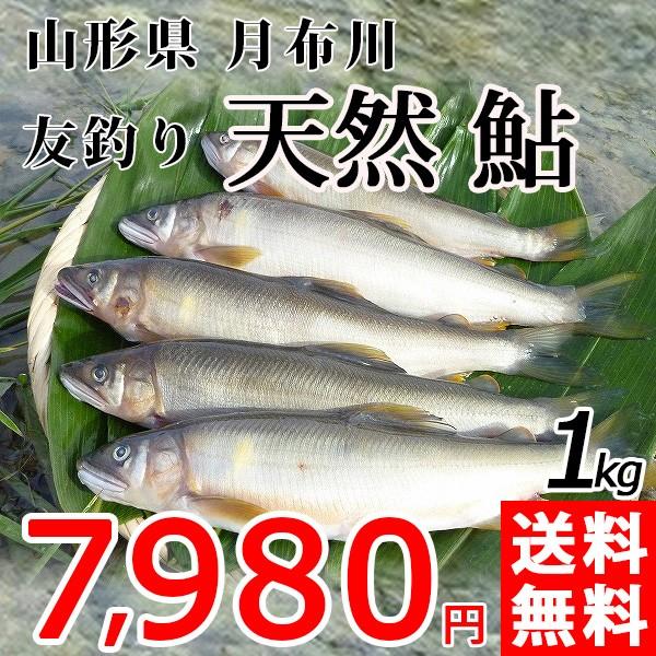☆あゆ様 ご確認ページ☆（おかざきさんち様☆ご確認ページ 着色され 