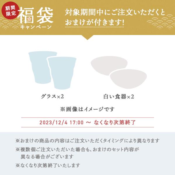 2024年福袋キャンペーン（おまけ付）】送料無料 シンプルな白い食器 24