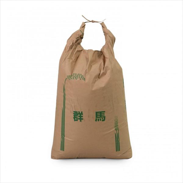 群馬の米　R3産玄米30kg 群馬県産 もち米 平成30年産 玄米 30kg 群馬糯5号 /【Buyee】