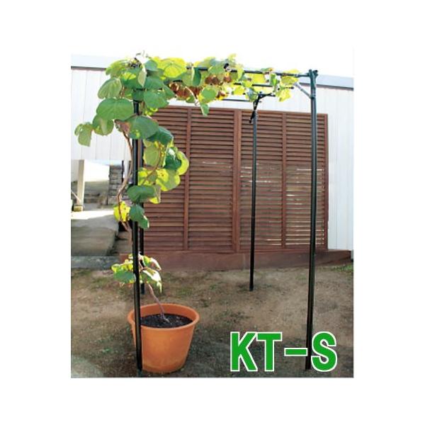 送料無料) くだもの棚セット KT-S 第一ビニール DAIM 小型 フルーツ