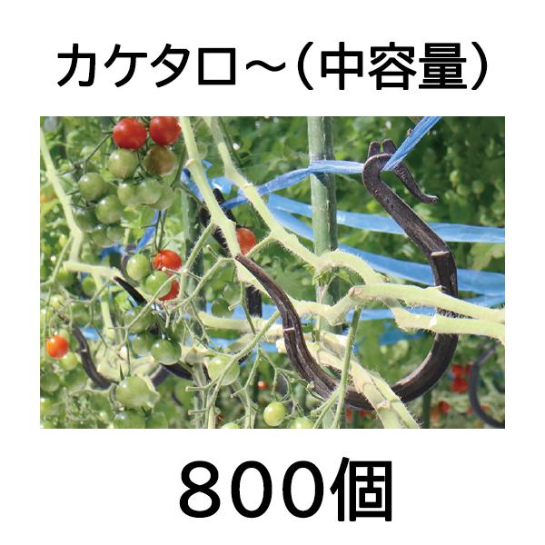 ケース特価800個入) 誘引資材カケタロー(中容量) TAR-800 (100個入×8袋) タケタロ〜 トマトミニトマト/【Buyee】