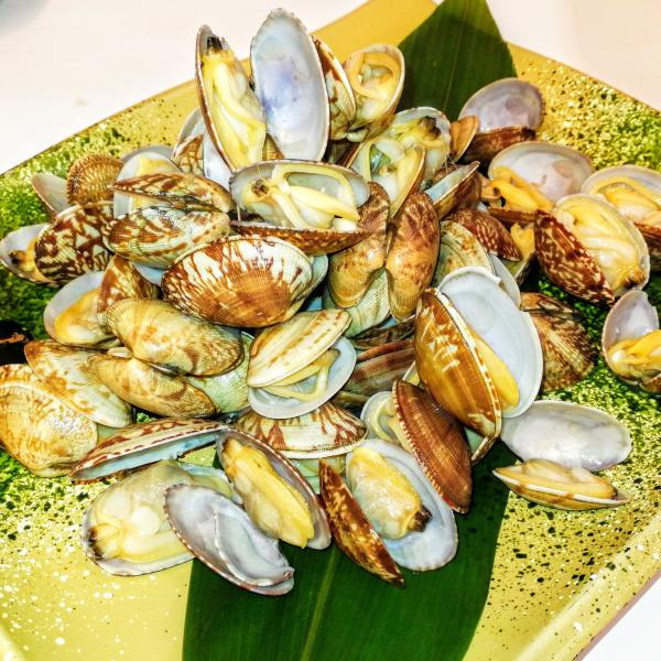 あさり アサリ ボイルアサリ バーベキュー 砂抜き不要 500g 2