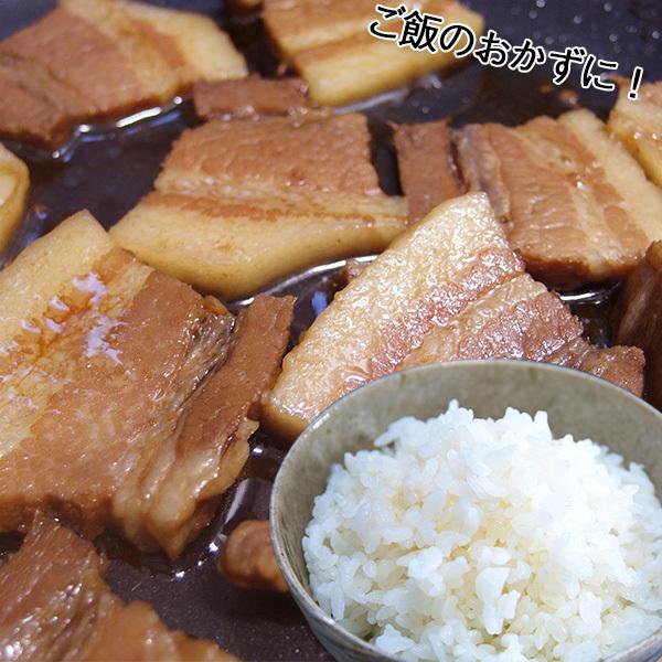 角煮 豚バラ角煮風 | ポイント交換のPeX