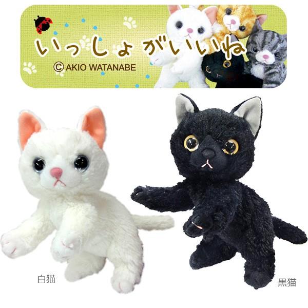 いっしょがいいね ビーンズ 2S ねこ ぬいぐるみ 子猫 内藤デザイン研究