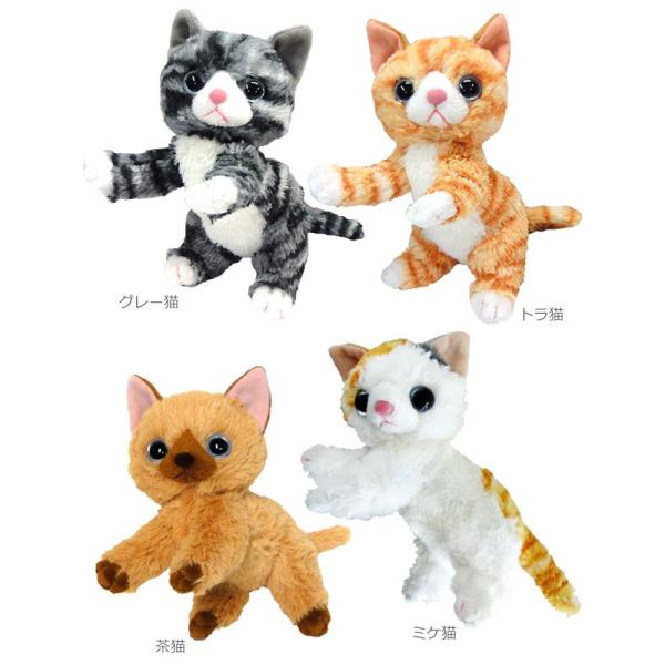 いっしょがいいね ビーンズ 2S ねこ ぬいぐるみ 子猫 内藤デザイン研究