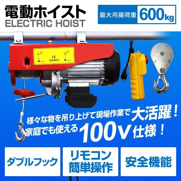 電動ウインチ 100V ホイスト 最大600kg 吊り上げ 吊り下げ クレーン