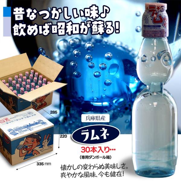 ラムネ ラムネ飲料 ペットボトル 業務用 炭酸飲料 ドリンク ジュース ペットラムネ ビー玉 ケース 250ml ×30本 /【Buyee】  Buyee - Japanese Proxy Service | Buy from Japan!