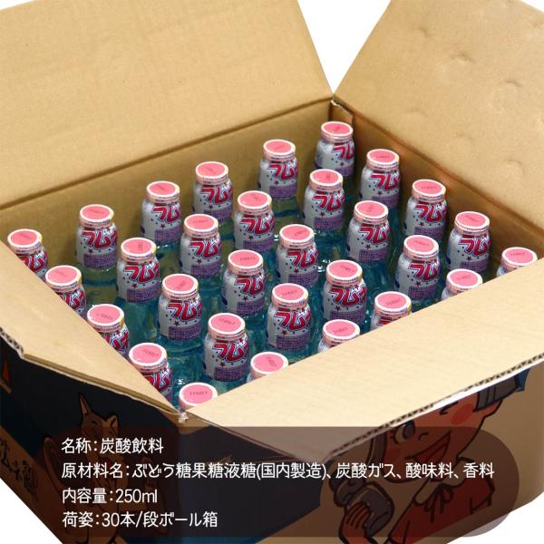 ラムネ ラムネ飲料 炭酸飲料 ジュース 安い ペットボトル 業務用