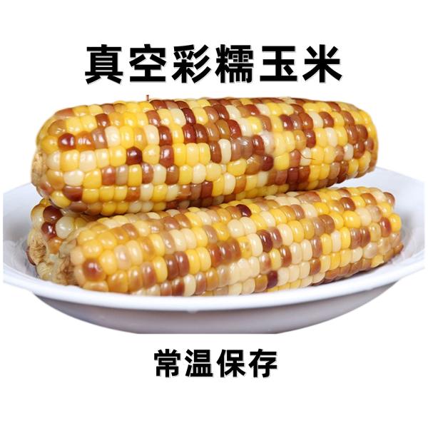 常温保存 真空 彩糯玉米 1棒 粘玉米 彩苞米 彩玉米 玉米 粘玉米