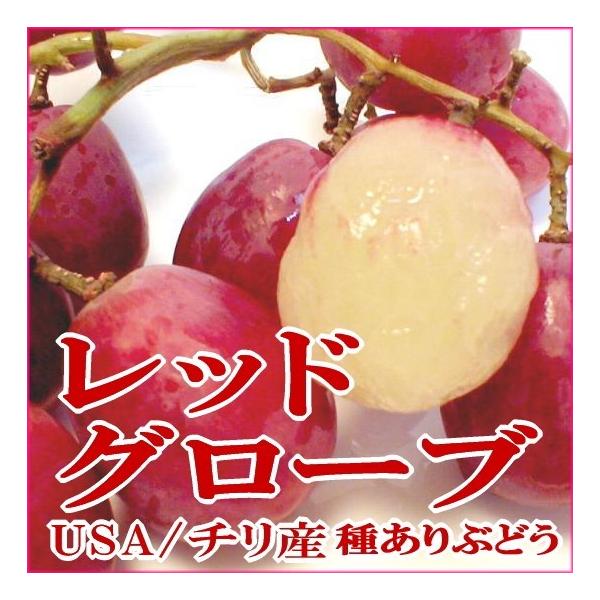 Amazon.co.jp: 【朝市場直行】アメリカほか ぶどう（種あり