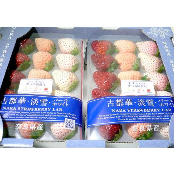 いちご② 3色いちご】パールホワイト・淡雪・古都華 イチゴ 11〜15個入り