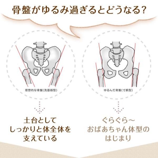 トコちゃんベルトセットL サイズシルク腹巻ママチョイス腹巻き青葉骨盤