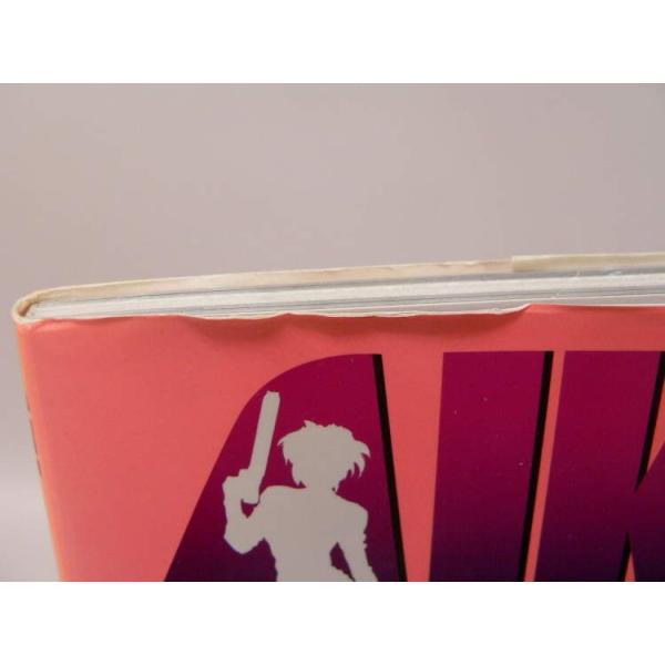 BOOK） AIKa アイカ パーフェクトファイルA【中古】 /【Buyee】