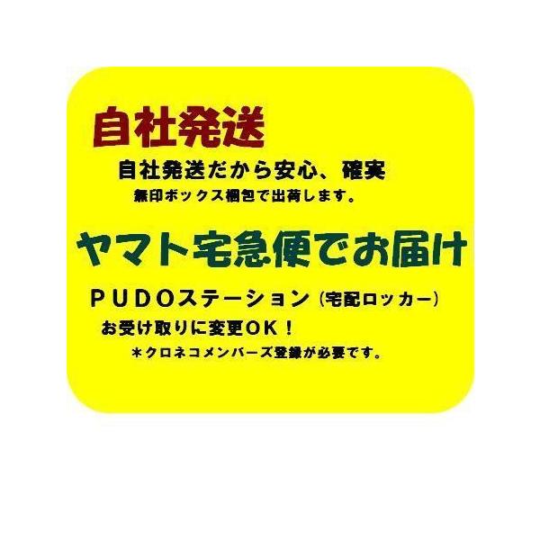 フィリピン語（タガログ語） 電子辞書/翻訳機『発声機能付き 英語/日本