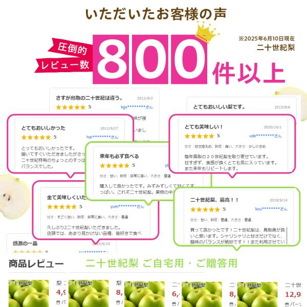梨 訳あり二十世紀梨（20世紀梨）5kg詰（16玉前後入） 鳥取県産 なし