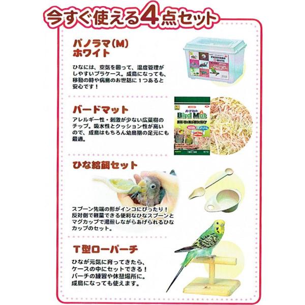 インコひな用 特製飼育セット /【Buyee】 Buyee - Japanese Proxy