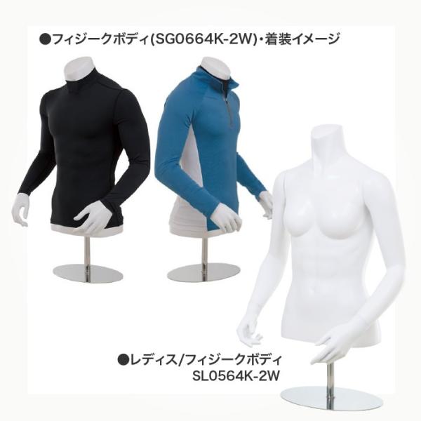 楽天市場】ひざ上トルソー メンズ 高さ115cm 【Y体】 B98×W76