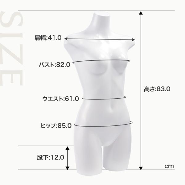 マネキン トルソー 送料無料 レディース トルソー 女性 自立タイプ