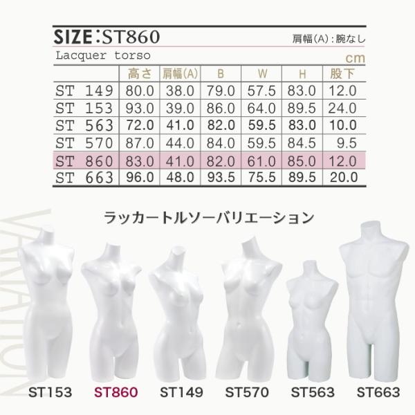 マネキン トルソー 送料無料 レディース トルソー 女性 自立タイプ