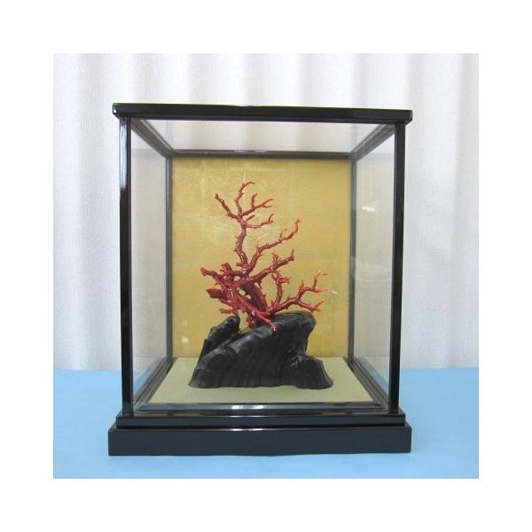 希少！＊血珊瑚＊天然 原木 サンゴ オブジェ 置物 楽天市場】日本