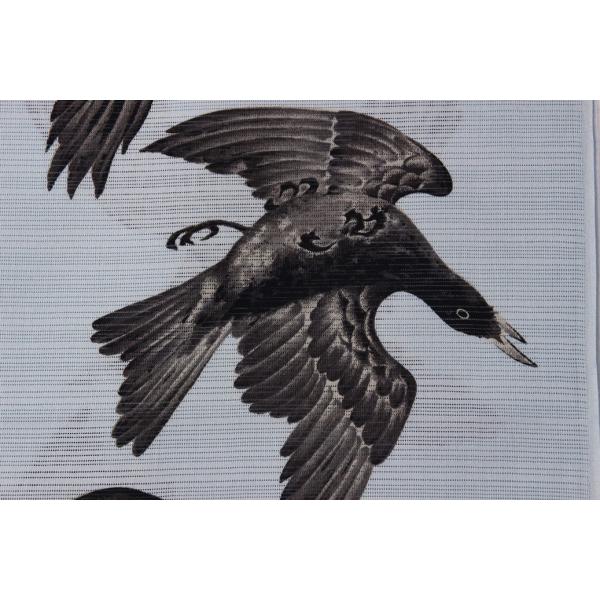 カラスと月 名古屋帯 京袋帯 限定 ゴフクヤサンドットコム 柄別,鳥類 |