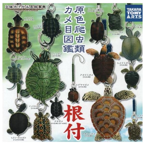 原色爬虫類カメ目図鑑 根付 全１５種 新品 亀の根付 ばら