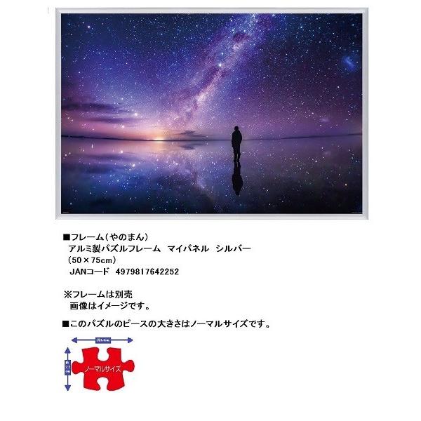 ジグソーパズル kagaya 星座 パズル 星空写真家KAGAYA氏の新作