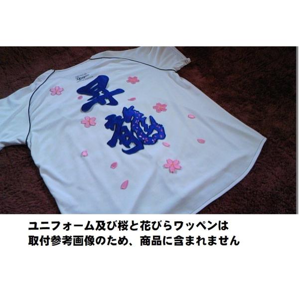 プロ野球応援グッズ（中日用）/昇龍縁取り刺繍ワッペン青龍/毛筆