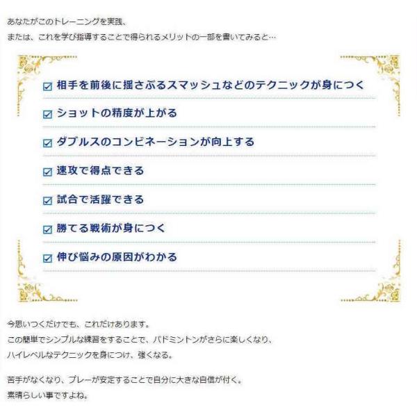 バドミントン上達革命DVD 埼玉栄男子バドミントン部コーチ、山田秀樹