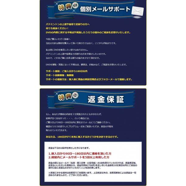 バドミントン上達革命DVD 埼玉栄男子バドミントン部コーチ、山田秀樹