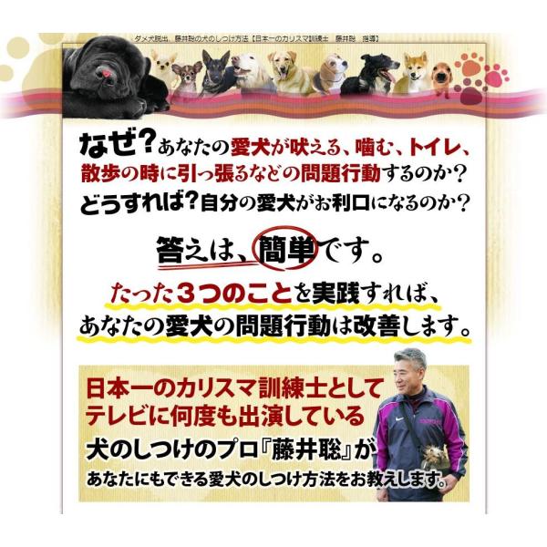 日本一のカリスマ訓練士 藤井聡 犬のしつけ法 DVD[通信講座]
