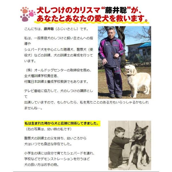 ダメ犬脱出！ 藤井聡の犬しつけ方法 DVD - 通販 - solarenergysas.com.ar