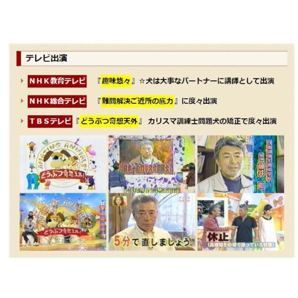 ダメ犬脱出、藤井聡の犬のしつけ方法DVD 日本一のカリスマ訓練士、藤井聡指導 トイレ 吠える 本 スプレー 教室 子犬 グッズ /【Buyee】