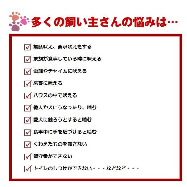 ダメ犬脱出！藤井聡の犬のしつけ方法 - 住まい/暮らし/子育て