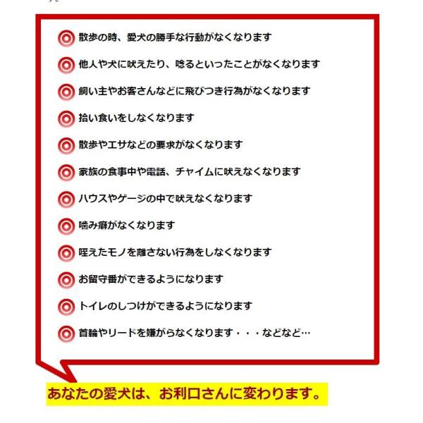 ダメ犬脱出、藤井聡の犬のしつけ方法DVD 日本一のカリスマ訓練士、藤井聡指導 トイレ 吠える 本 スプレー 教室 子犬 グッズ /【Buyee】