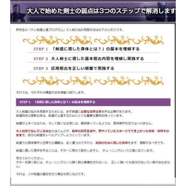 大人剣道上達プログラムDVD 社会人剣道、リバ剣、の剣士が上達できない悩みを克服！剣道稽古方法 教士八段林朗監修 防具 竹刀 手ぬぐい /【Buyee】